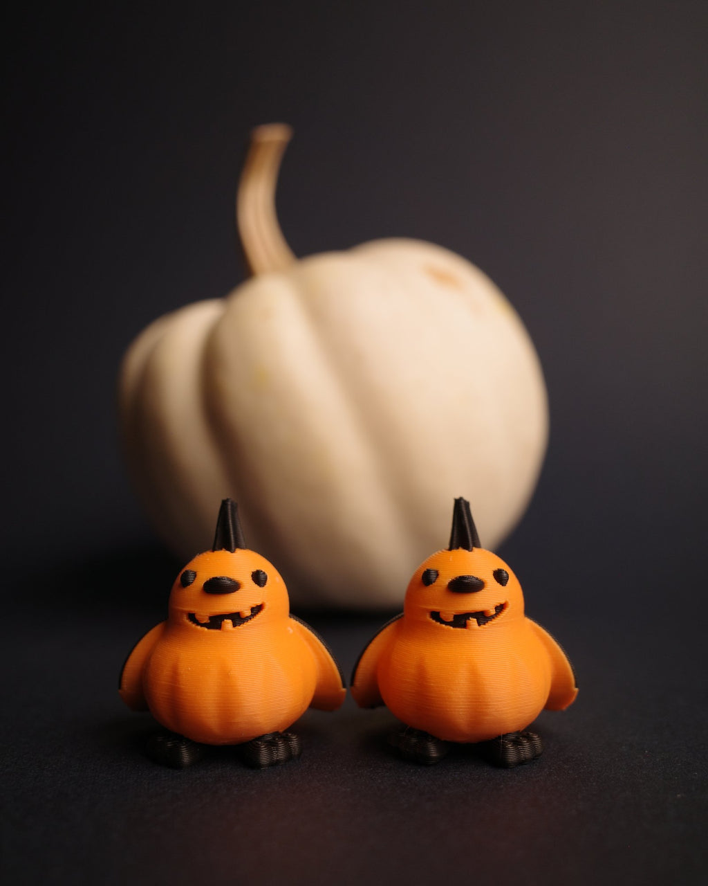 two pumpkin Snowballs beside a white pumpkin